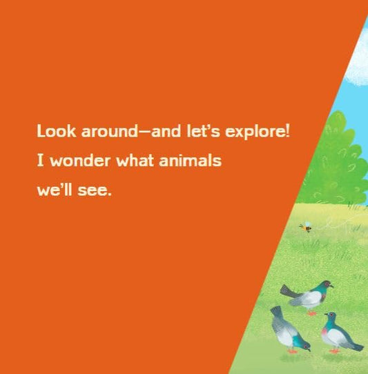 Curious Me!: Animals by Alison Behnke & Mirella Mariani