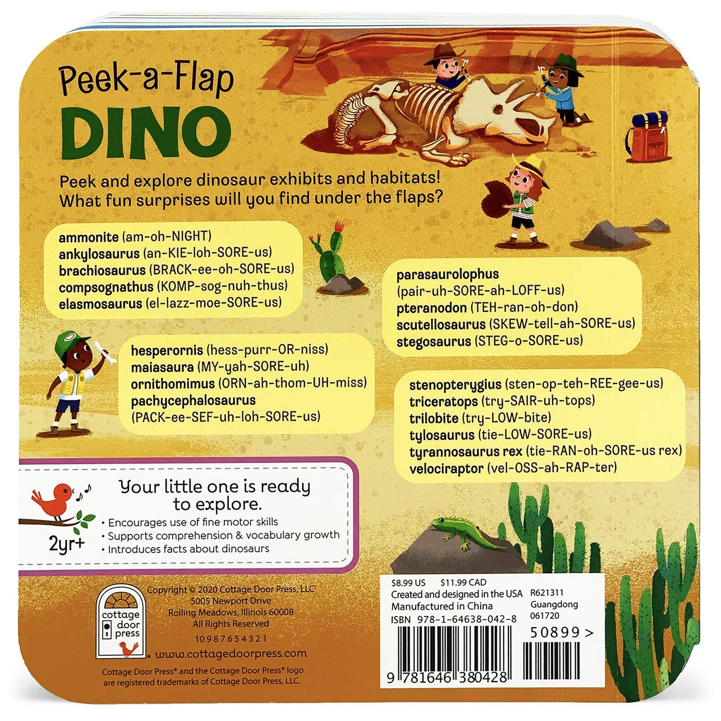 Peek-a-Flap: Dino