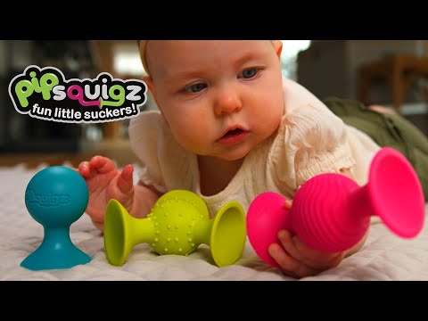 Fat Brain Toys - pipSquigz (Bilingual)