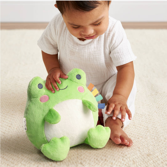 Itzy Ritzy -  Sweetie Snuggles Frog Plush