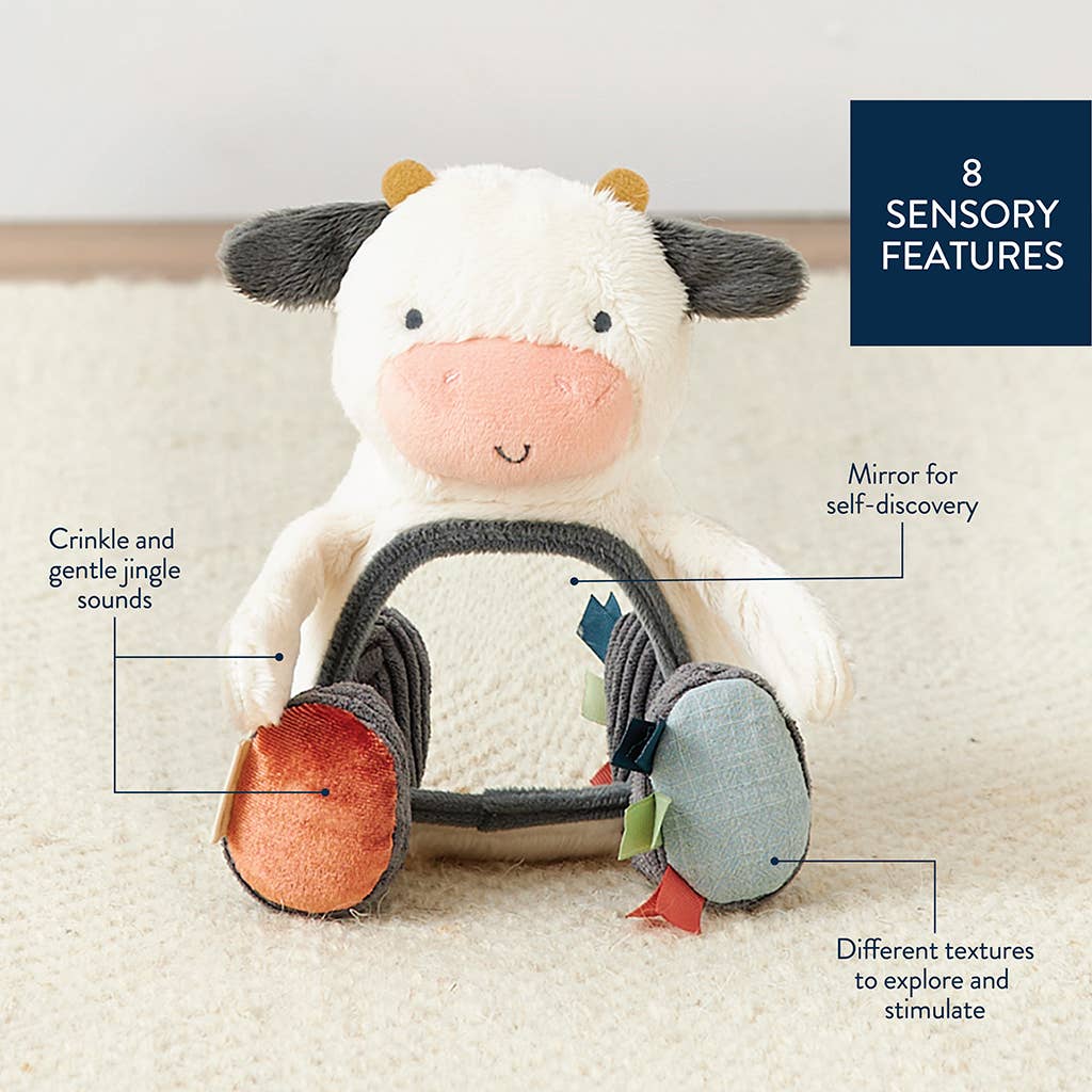 Itzy Ritzy - Itzy Bitzy Mirror Sensory Toy