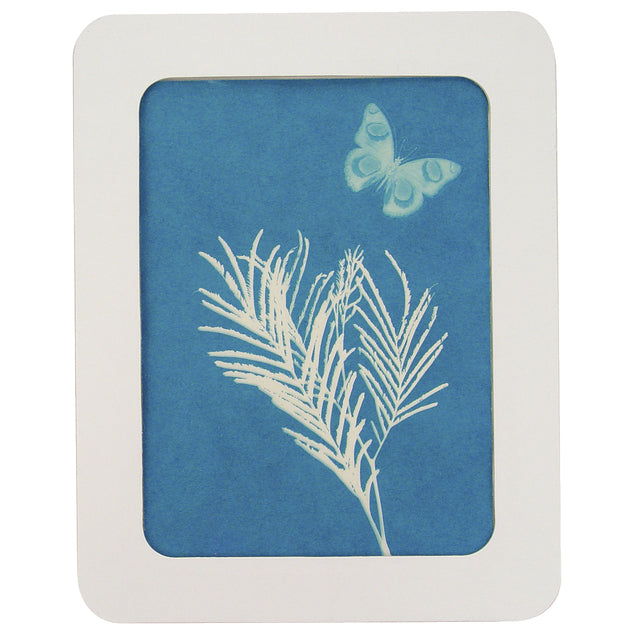 TOYSMITH- Nature & Gardening - Solar Print Kit