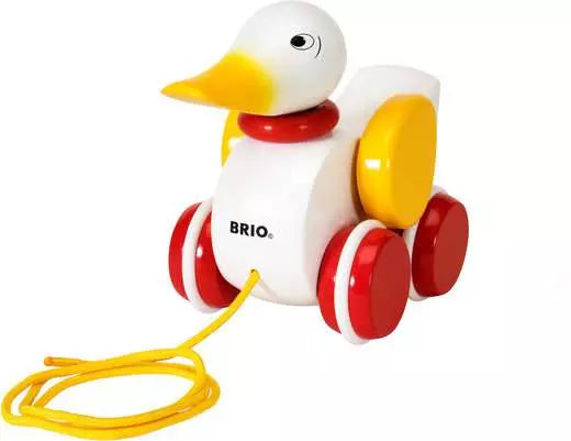 Pull Along Duck