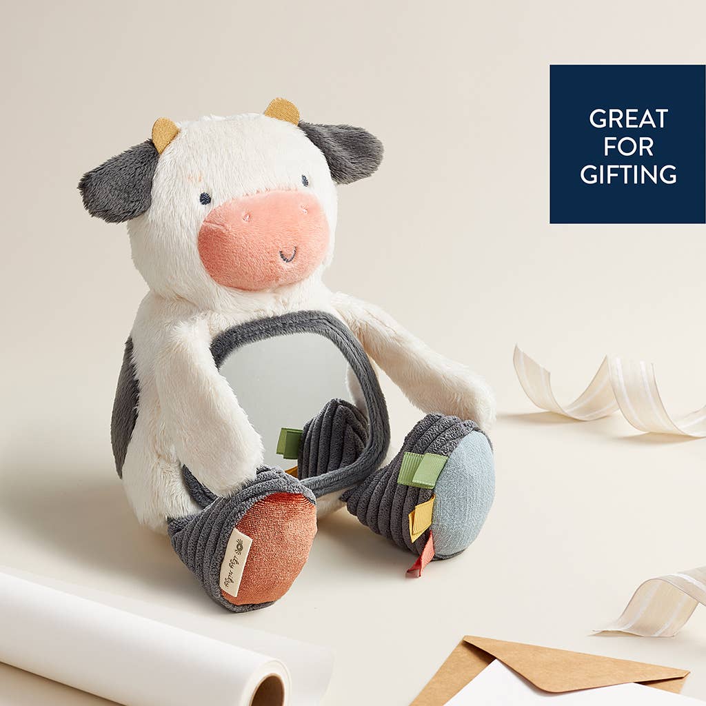 Itzy Ritzy - Itzy Bitzy Mirror Sensory Toy