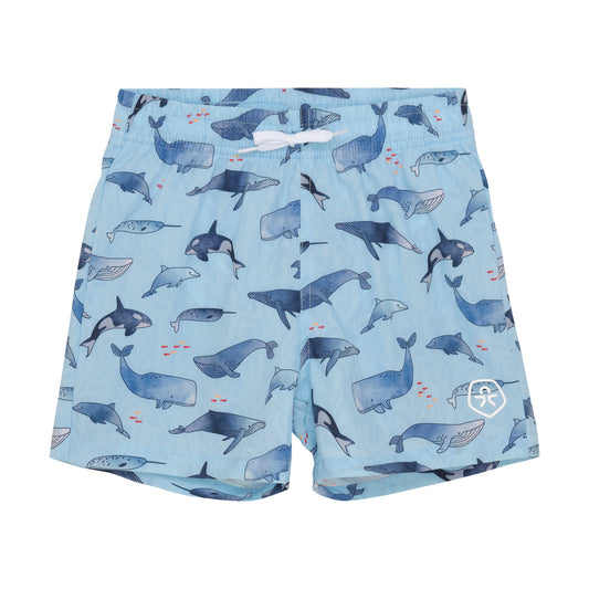 Color Kids Swim Shorts - Whale - 6Y