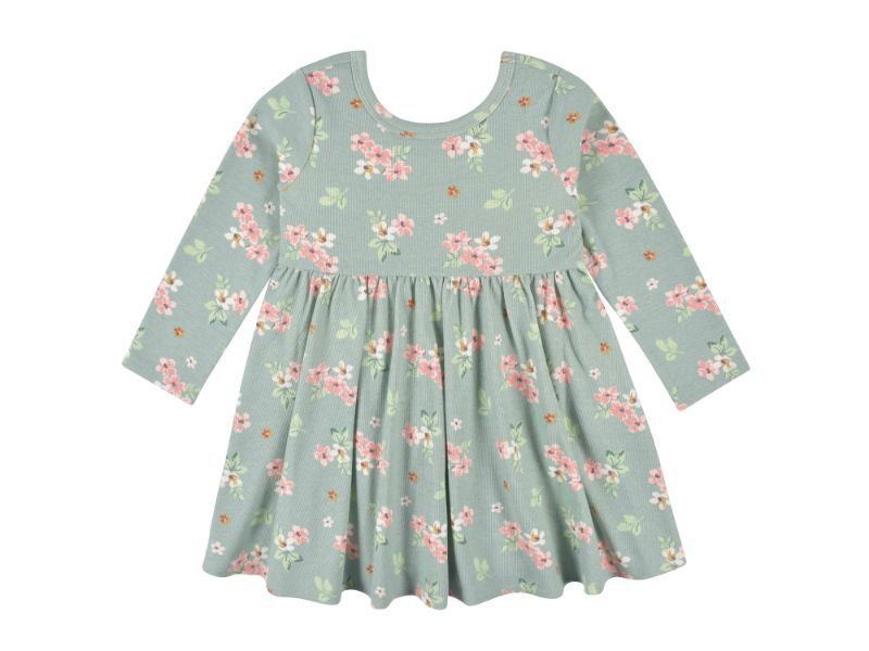 Gerber - 2-Pack Baby Girls Green Floral Long Sleeve Dresses