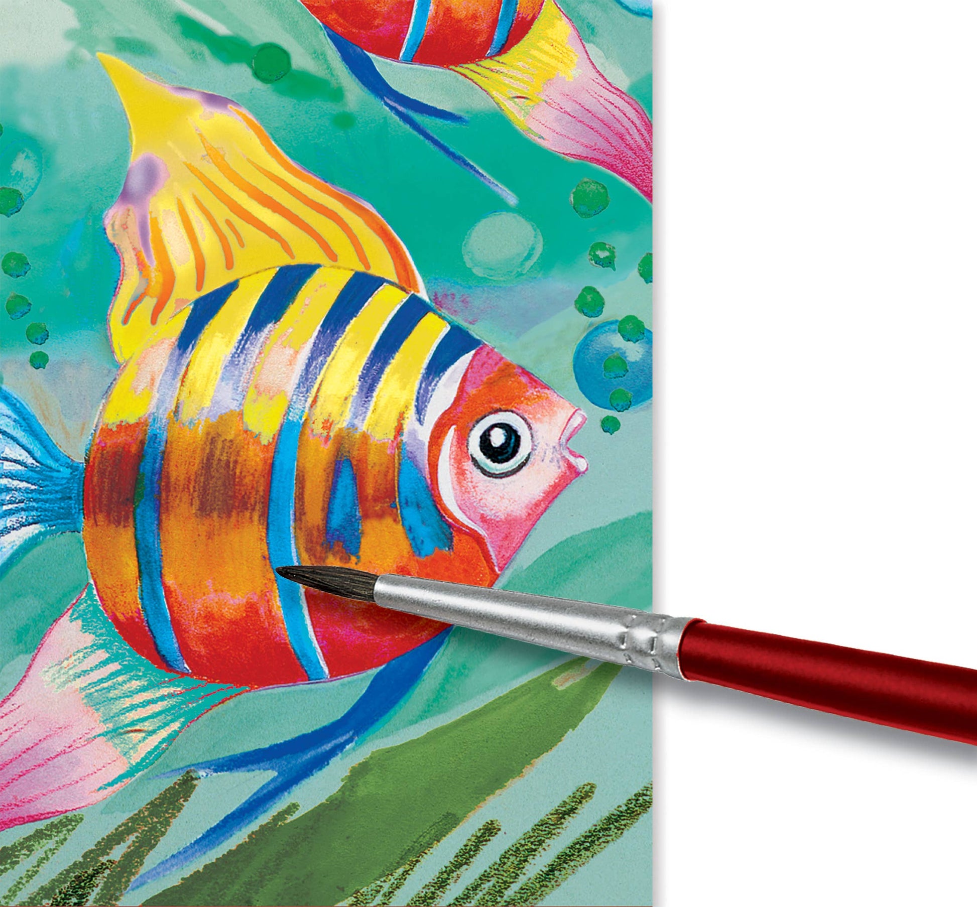 Colorful fish painting with a brush on a white background