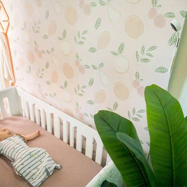 Crib with a child in a striped outfit against a wall with a fruit pattern, with a plant in the foreground.