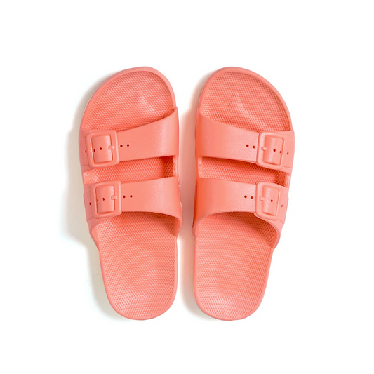 Freedom Moses - Basic Slides