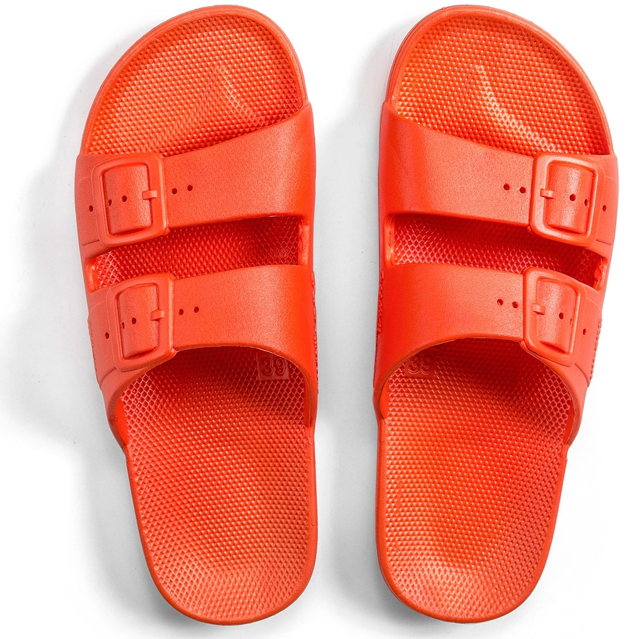 Freedom Moses - Basic Slides