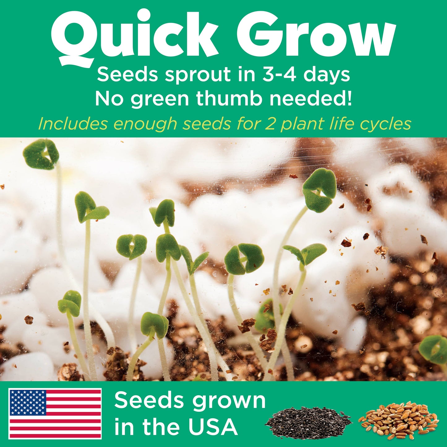 Seedling sprouts on a soil surface with promotional text about quick growth and no green thumb needed.