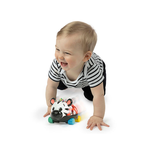 BABY EINSTEIN - Oball Curious Car & Rattle - Zen