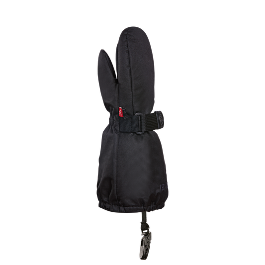 Kombi THE CRAZY CARIBOO CHILDREN